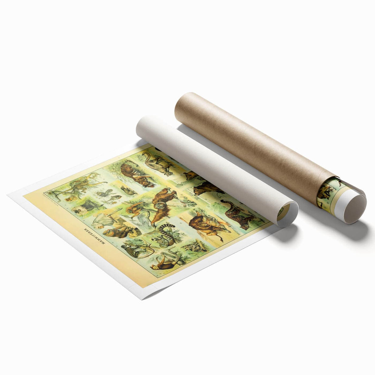 Vintage Animal Art: Retro Big Cats & Wildlife Illustration Print