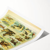 Vintage Animal Art: Retro Big Cats & Wildlife Illustration Print