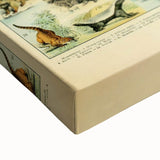 Vintage Animal Art: Retro Big Cats & Wildlife Illustration Print