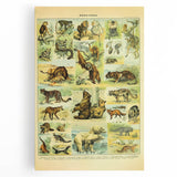 Vintage Animal Art: Retro Big Cats & Wildlife Illustration Print