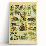 Vintage Animal Art: Retro Big Cats & Wildlife Illustration Print