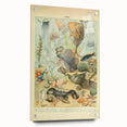 Vintage Animal Art: Retro Ocean Life & Marine Creatures Print