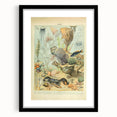 Vintage Animal Art: Retro Ocean Life & Marine Creatures Print