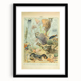Vintage Animal Art: Retro Ocean Life & Marine Creatures Print