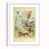 Vintage Animal Art: Retro Ocean Life & Marine Creatures Print