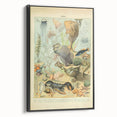 Vintage Animal Art: Retro Ocean Life & Marine Creatures Print