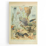 Vintage Animal Art: Retro Ocean Life & Marine Creatures Print