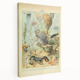 Vintage Animal Art: Retro Ocean Life & Marine Creatures Print