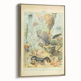 Vintage Animal Art: Retro Ocean Life & Marine Creatures Print