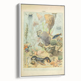 Vintage Animal Art: Retro Ocean Life & Marine Creatures Print