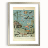 Vintage Animal Art: Deep-Sea Creatures & Ocean Life Illustration
