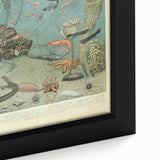 Vintage Animal Art: Deep-Sea Creatures & Ocean Life Illustration