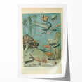 Vintage Animal Art: Deep-Sea Creatures & Ocean Life Illustration