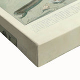 Vintage Animal Art: Deep-Sea Creatures & Ocean Life Illustration