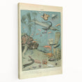 Vintage Animal Art: Deep-Sea Creatures & Ocean Life Illustration
