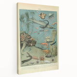 Vintage Animal Art: Deep-Sea Creatures & Ocean Life Illustration