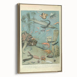 Vintage Animal Art: Deep-Sea Creatures & Ocean Life Illustration