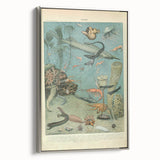 Vintage Animal Art: Deep-Sea Creatures & Ocean Life Illustration