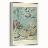 Vintage Animal Art: Deep-Sea Creatures & Ocean Life Illustration