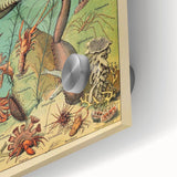 Vintage Animal Art: Deep-Sea Oceanography Marine Life Illustration