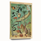 Vintage Animal Art: Deep-Sea Oceanography Marine Life Illustration