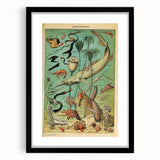 Vintage Animal Art: Deep-Sea Oceanography Marine Life Illustration