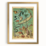 Vintage Animal Art: Deep-Sea Oceanography Marine Life Illustration