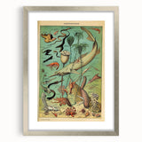 Vintage Animal Art: Deep-Sea Oceanography Marine Life Illustration