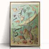 Vintage Animal Art: Deep-Sea Oceanography Marine Life Illustration