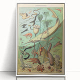 Vintage Animal Art: Deep-Sea Oceanography Marine Life Illustration