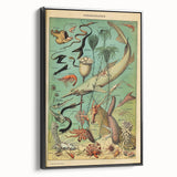 Vintage Animal Art: Deep-Sea Oceanography Marine Life Illustration