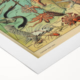 Vintage Animal Art: Deep-Sea Oceanography Marine Life Illustration