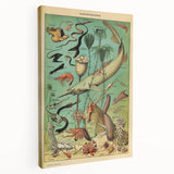 Vintage Animal Art: Deep-Sea Oceanography Marine Life Illustration