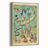 Vintage Animal Art: Deep-Sea Oceanography Marine Life Illustration