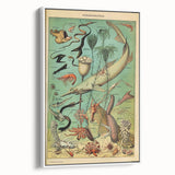 Vintage Animal Art: Deep-Sea Oceanography Marine Life Illustration