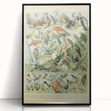 Vintage Animal Art: Retro Birds & Parrots Illustration Print