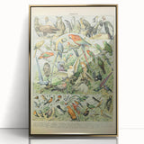 Vintage Animal Art: Retro Birds & Parrots Illustration Print