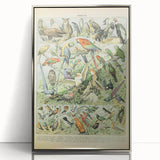 Vintage Animal Art: Retro Birds & Parrots Illustration Print