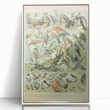 Vintage Animal Art: Retro Birds & Parrots Illustration Print