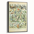 Vintage Animal Art: Retro Birds & Parrots Illustration Print
