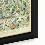 Vintage Animal Art: Retro Birds & Parrots Illustration Print