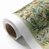 Vintage Animal Art: Retro Birds & Parrots Illustration Print