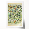 Vintage Animal Art: Retro Birds & Parrots Illustration Print