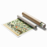 Vintage Animal Art: Retro Birds & Parrots Illustration Print