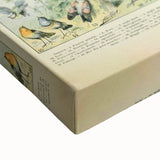 Vintage Animal Art: Retro Birds & Parrots Illustration Print