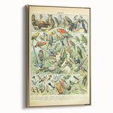 Vintage Animal Art: Retro Birds & Parrots Illustration Print