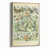 Vintage Animal Art: Retro Birds & Parrots Illustration Print