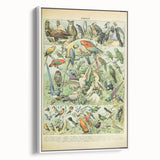 Vintage Animal Art: Retro Birds & Parrots Illustration Print