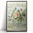 Vintage Animal Art: Birds of Paradise & Exotic Hummingbirds Print