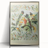 Vintage Animal Art: Birds of Paradise & Exotic Hummingbirds Print
